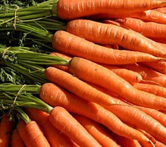 Morcovii legume potrivite pentru orice gradina