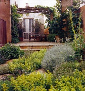Idee pentru amplasrea plantelor in gradina sau pe terasa