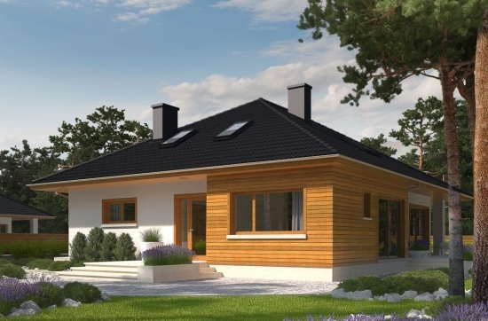 Lodge Hello interface Modele de case moderne cu fatade cu tencuiala decorativa si lemn - idei in  imagini