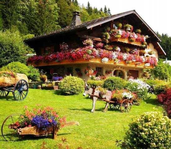 Balcoane case cu flori curgatoare