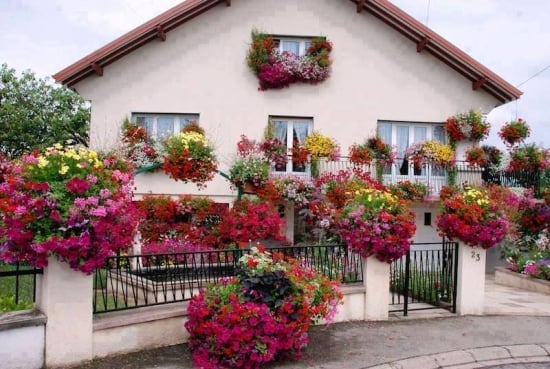 Casa cu ferestre si gard impodobit cu flori