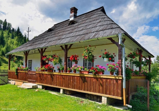 Casa romaneasca cu ceardac cu flori
