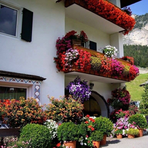 Idee decorare balcoane cu flori
