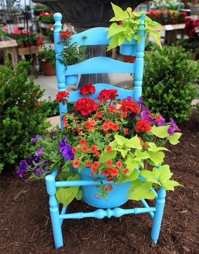 Scaun vopsit bleu folosit drept suport pentru flori in gradina