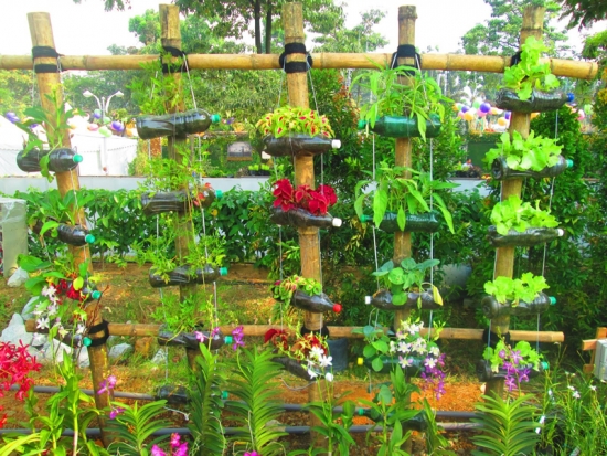 Sticle de plastic agatate cu flori in gradina