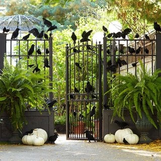 Gard cu pasari negre decorat pentru Halloween