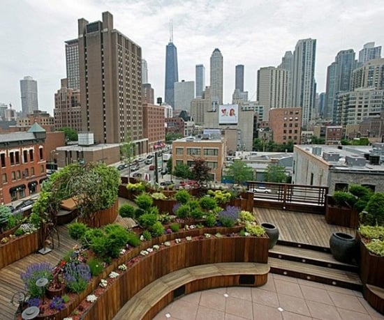 gradina pe acoperis cu plante verzi proiectate pe mai multe niveluri