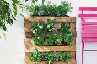 Gradina verticala DIY pentru balcon 