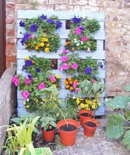 Gradina verticala cu flori de primavara