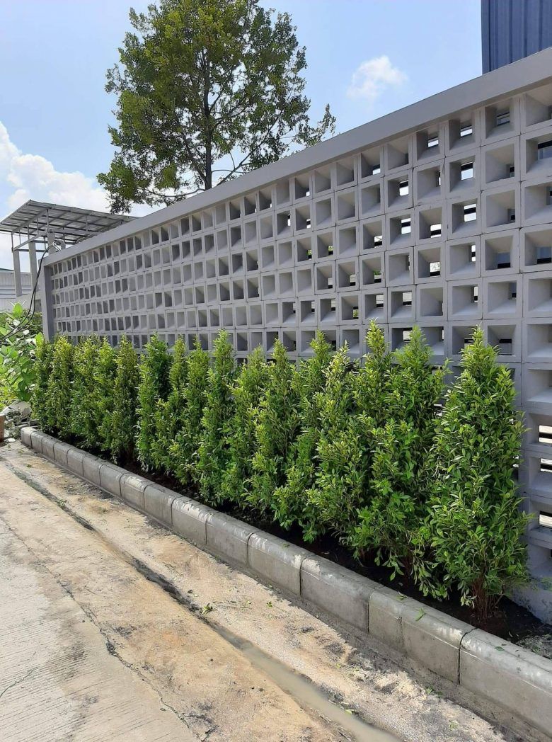 Gard din beton decorat cu gard viu