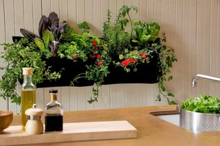Idei pentru atarnare plante in interior