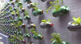 Sticle pet reciclate si transformate in ghivece de flori