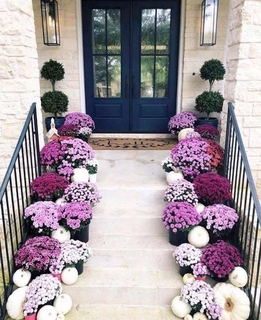 Trepte exterior decorate cu flori