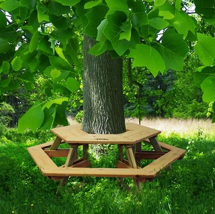 Masa cu bancuta in jurul copacului