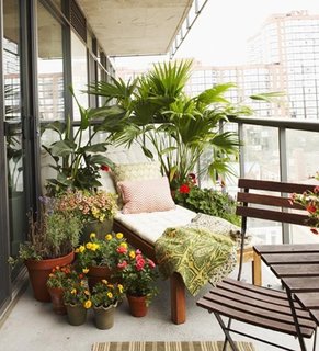 Balcon neinchis amenajat cu un sezlong si plante decorative si cu flori