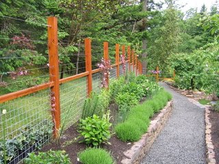 Gard de gradina din lemn si plasa si sarme pentru plantele cataratoare
