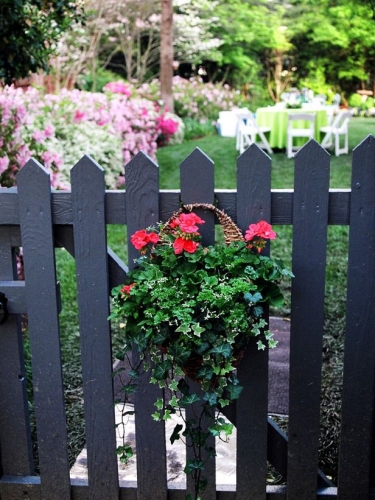 Gard din lemn vopsit cu negru si cu ghiveci cu flori curgatoare