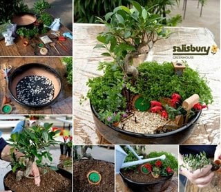 Tutorial pentru creare mini gradina