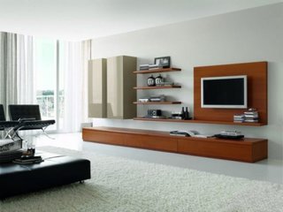 Design perete televizor living
