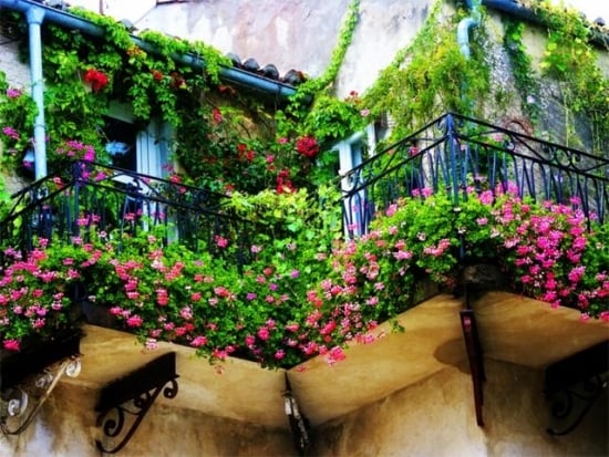 Balcon cu gradina cu flori multicolore si plante decorative verzi