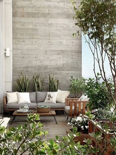 Plante de balcon iubitoare de soare si caldura