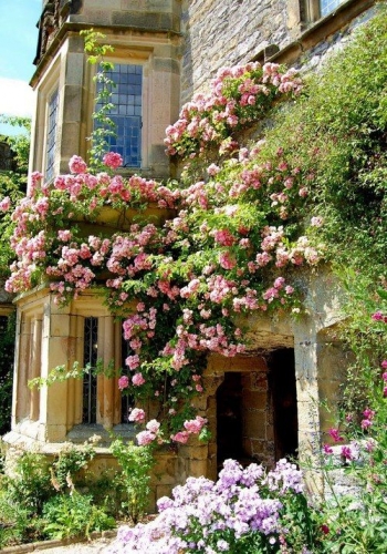 Intrare imbracata in trandafiri cataratori soi parade roz