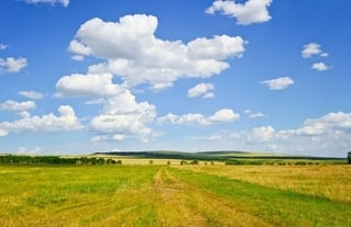 Teren camp